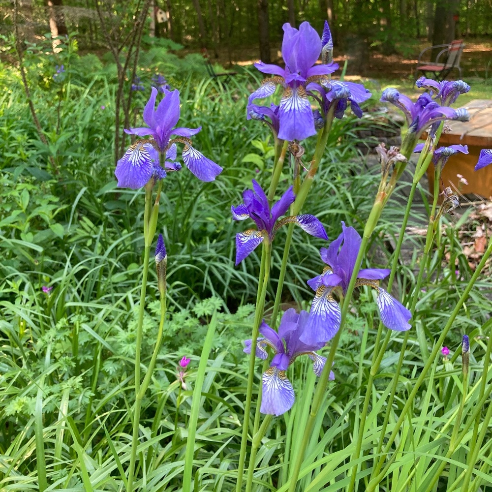 Meet your Posher, Posh